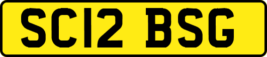 SC12BSG