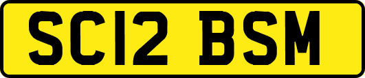 SC12BSM