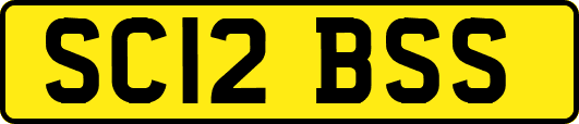 SC12BSS