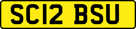 SC12BSU