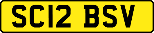 SC12BSV