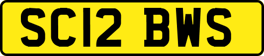 SC12BWS