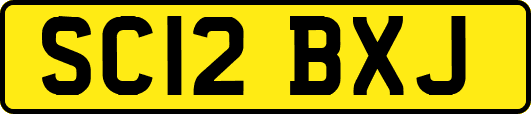 SC12BXJ