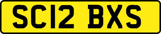 SC12BXS