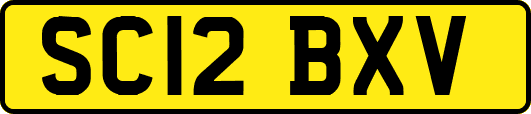 SC12BXV