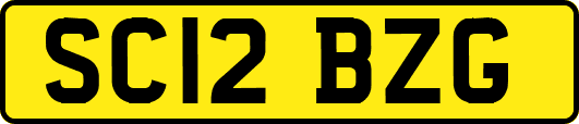 SC12BZG