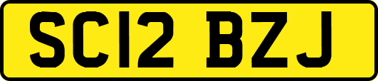 SC12BZJ