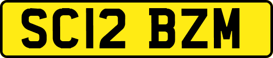 SC12BZM