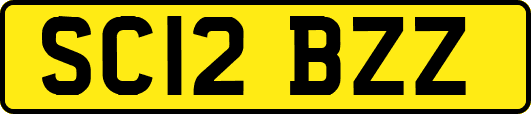 SC12BZZ