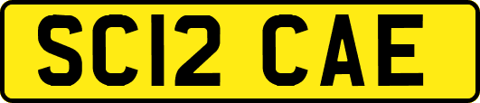SC12CAE