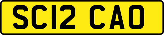 SC12CAO