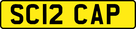 SC12CAP