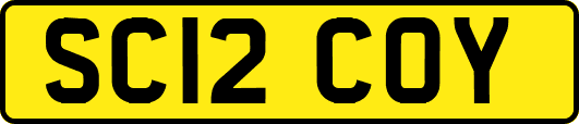 SC12COY