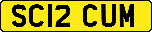 SC12CUM