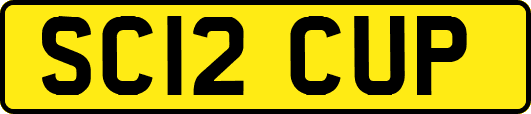 SC12CUP