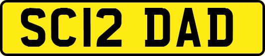 SC12DAD