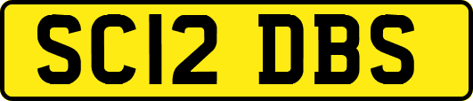 SC12DBS