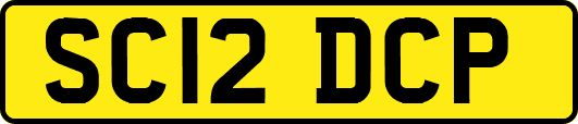 SC12DCP