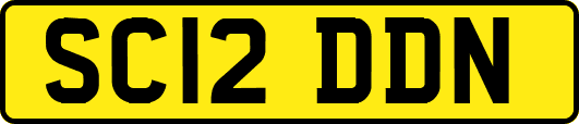 SC12DDN