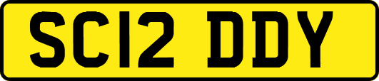 SC12DDY