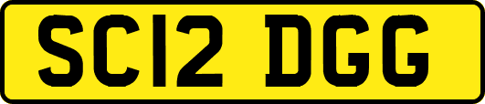 SC12DGG