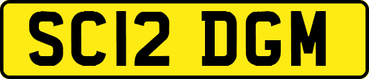 SC12DGM