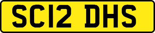 SC12DHS
