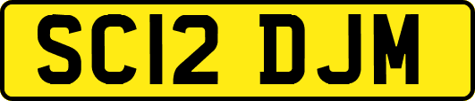 SC12DJM