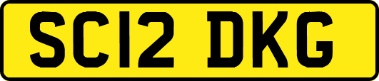 SC12DKG
