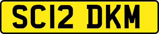 SC12DKM