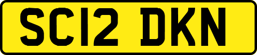 SC12DKN