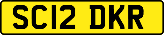 SC12DKR
