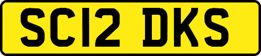 SC12DKS
