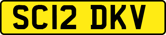 SC12DKV