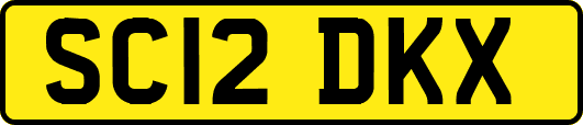 SC12DKX