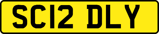 SC12DLY