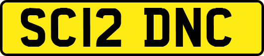 SC12DNC