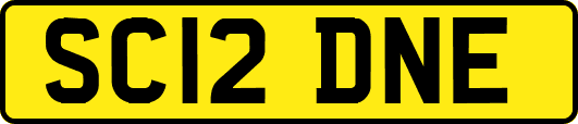 SC12DNE