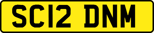 SC12DNM