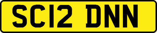 SC12DNN
