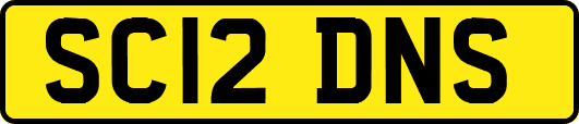 SC12DNS