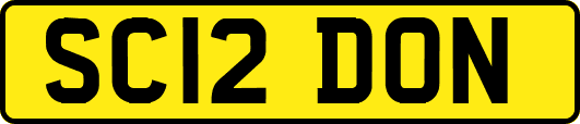 SC12DON