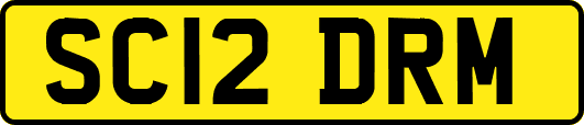 SC12DRM