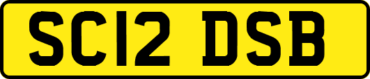 SC12DSB