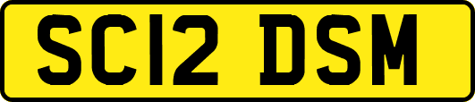 SC12DSM