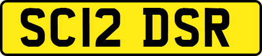 SC12DSR