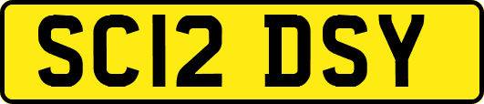 SC12DSY
