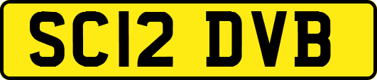 SC12DVB