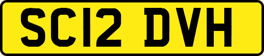SC12DVH