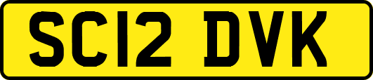 SC12DVK